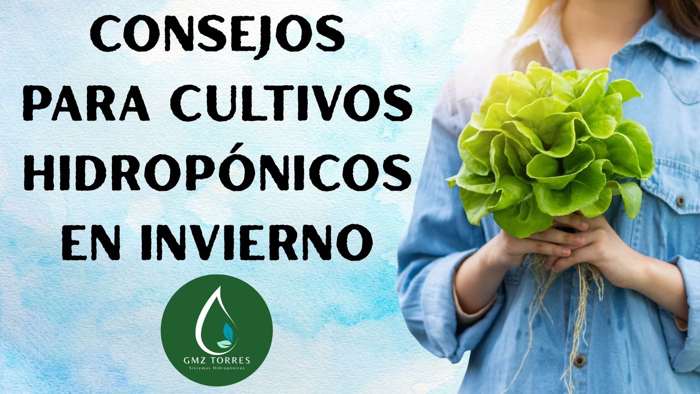 5 Consejos Prácticos para Cultivos Hidropónicos en Invierno.