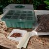 Kit semillero, caja germinadora. Con semillas, señaladores y sustrato. GMZ Torres